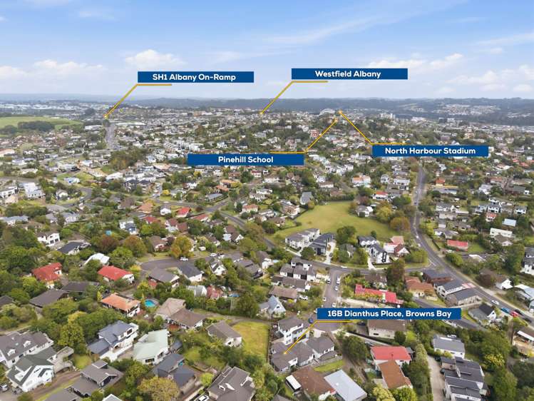 16B Dianthus Place Browns Bay_25