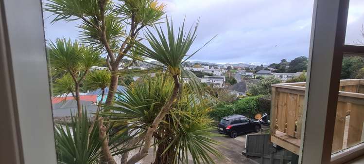 99b Fraser Avenue Johnsonville_9