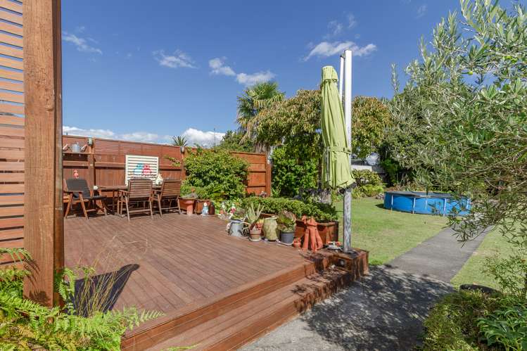 74 Mcdonald Street Napier South_14