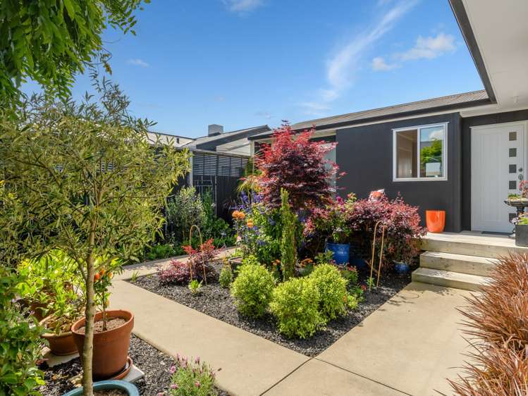 11c Arundel Street Tauranga Central_24