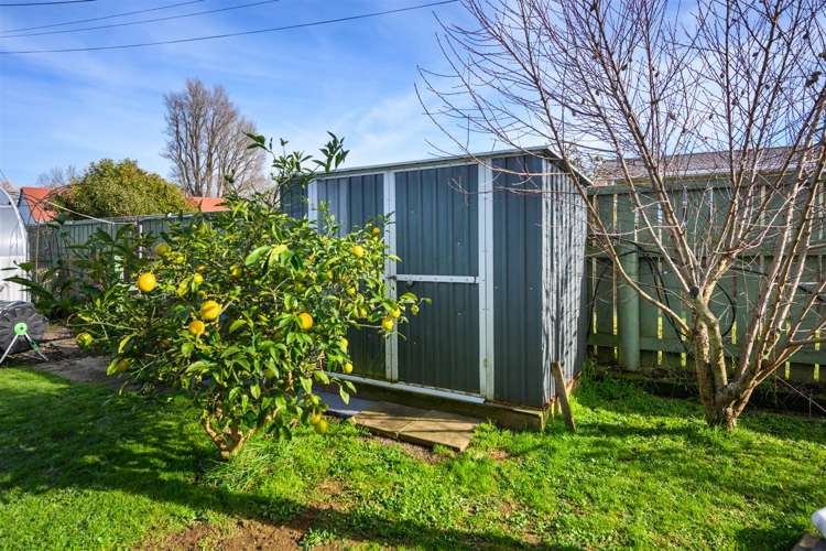 21 Flower Street Bulls_35