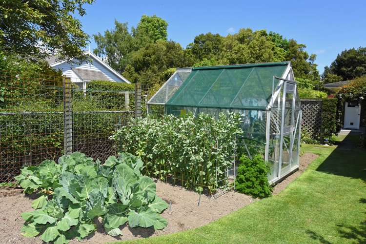 76b West Street Greytown_16