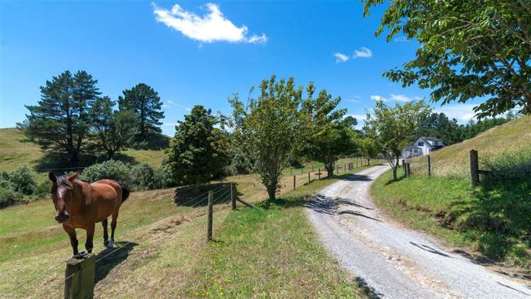 201 Forest Road Oruanui_19