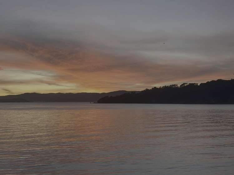 62 Evans Bay Parade Roseneath_33