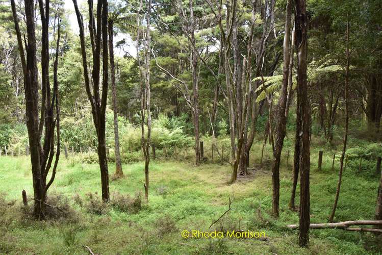 318 Franklin Road Paparoa_18