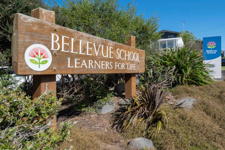 86 Princess Road Bellevue_32