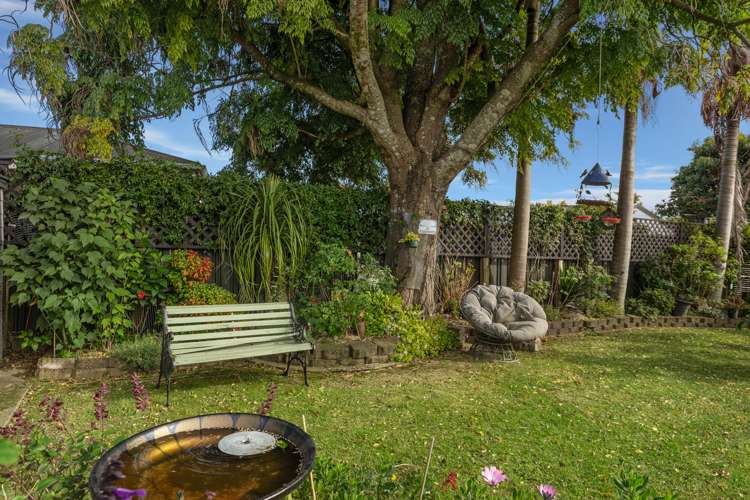 254 King Street Whakatane Whakatāne Houses for Sale One Roof