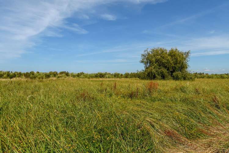 380b Matahui Road Aongatete_17