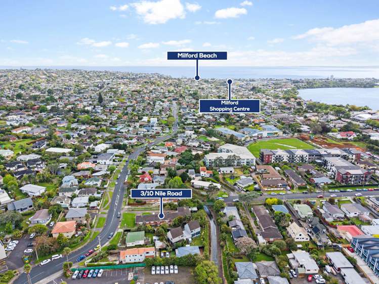 3/10 Nile Road Milford_17