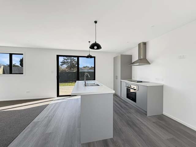 12A Turenne Street Inner Kaiti_2