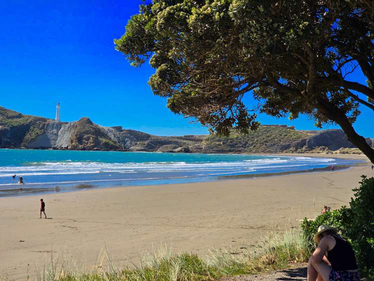 Mclaughlin Drive Tinui_8