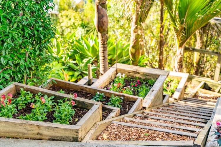 27 Taranui Place Mangawhai Heads_48