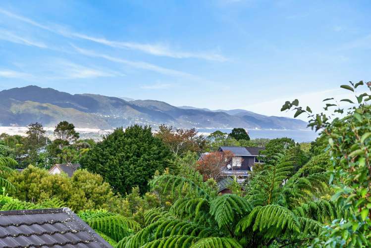 27 Viewmont Drive Harbour View_24
