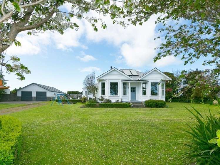 799 Mangorei Road Mangorei_35