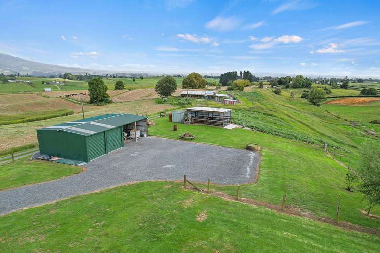320 Bell Road Pirongia_29