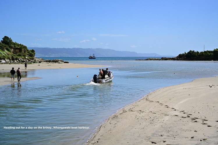 Lots 100 and 201 Waihinahina Way Māhia_20
