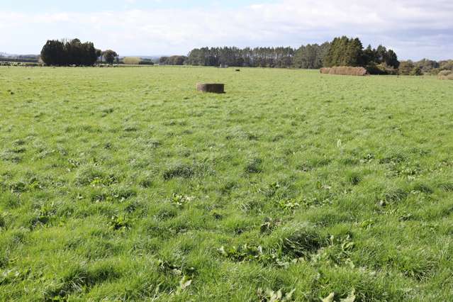 2403 Mountain Road Tariki_3