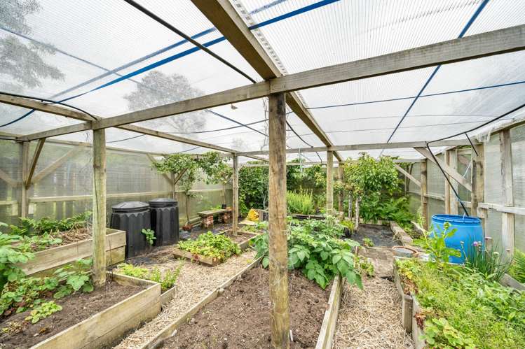 29 Venus Street Georgetown_32