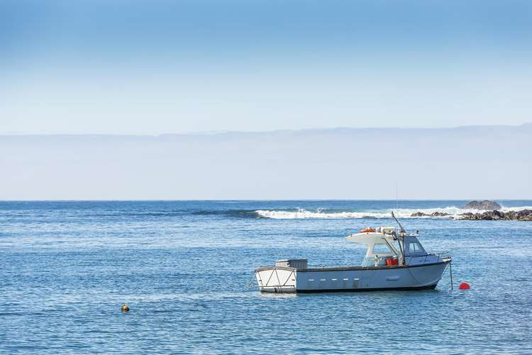 157 Derwent Street Island Bay_18