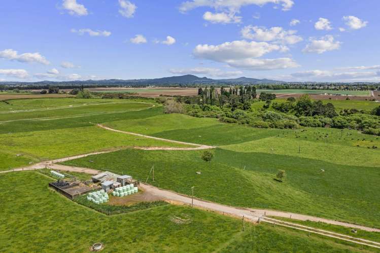 289/296 Tauranga Road Matamata_13