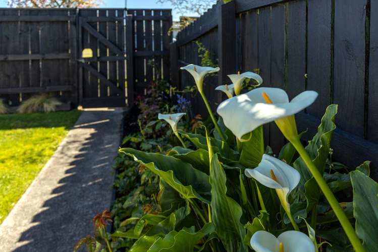 8 Ida Street Redwoodtown_20