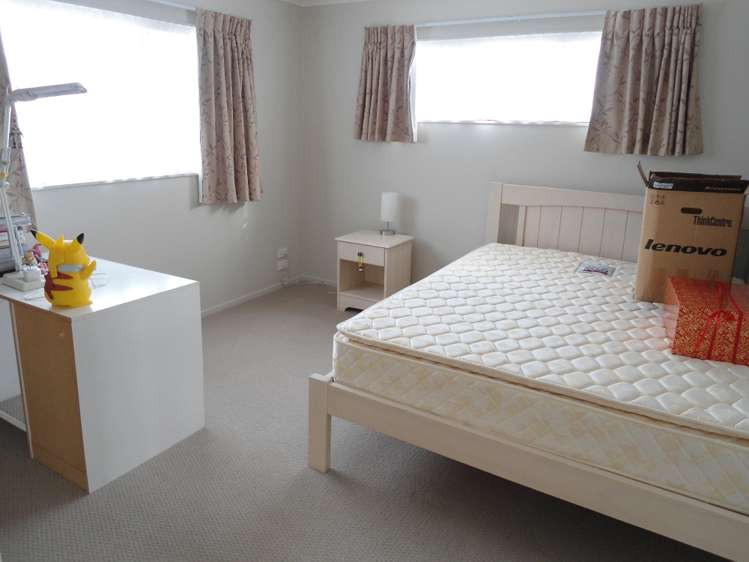 17c Methuen Road Avondale_7