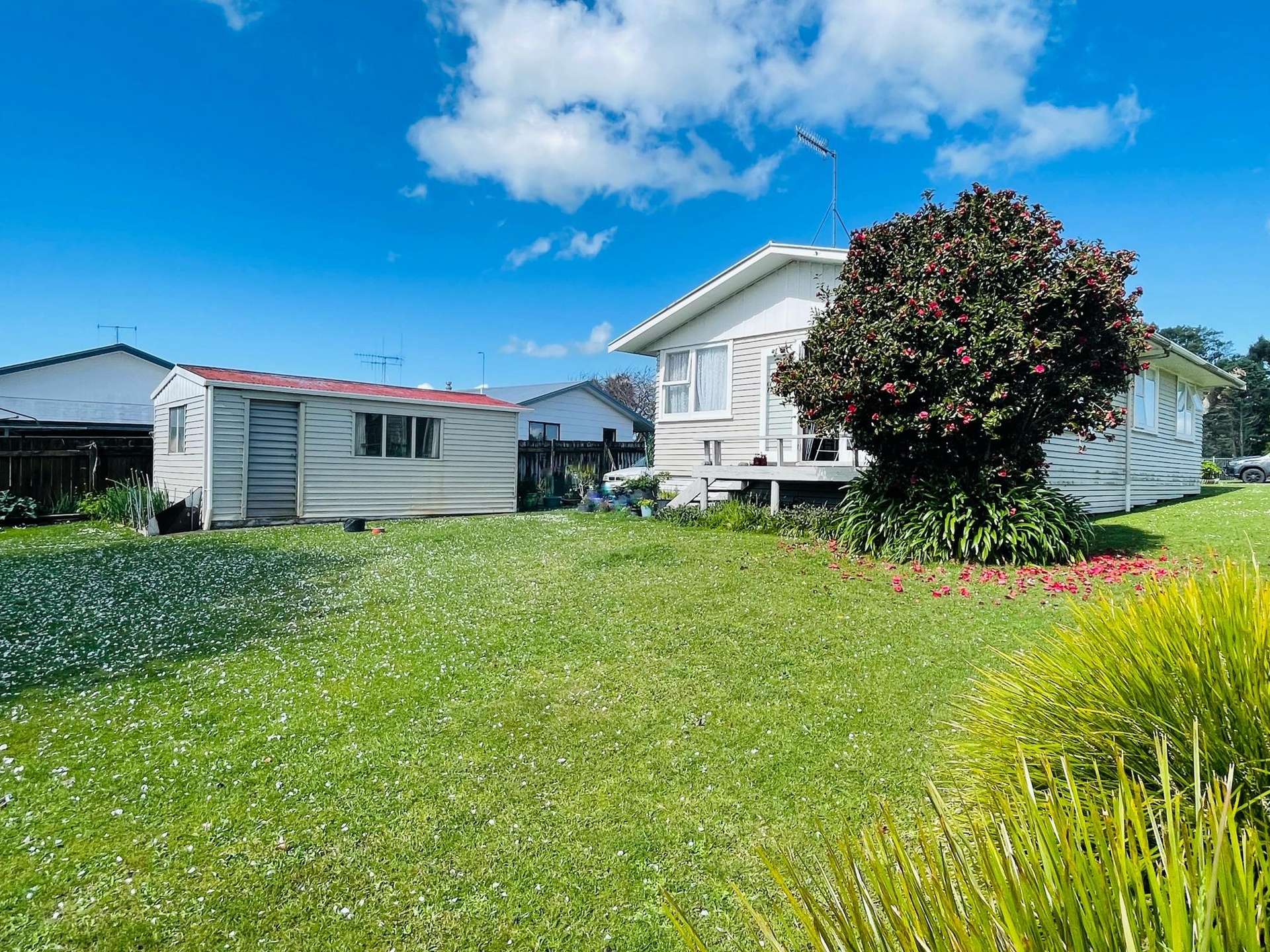 9 Gray Avenue Te Puke_0