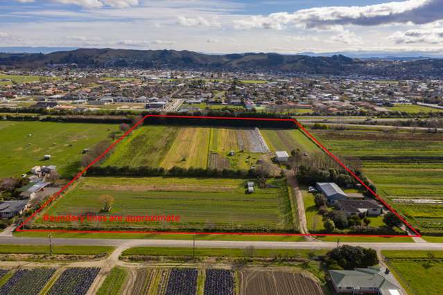 23 Johns Road Jervoistown_2