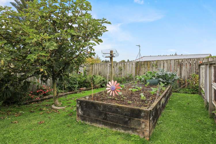 111 Tuhikaramea Road Dinsdale_21