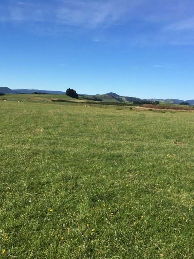 747 Niagara Tokanui Highway Catlins Surrounds_2