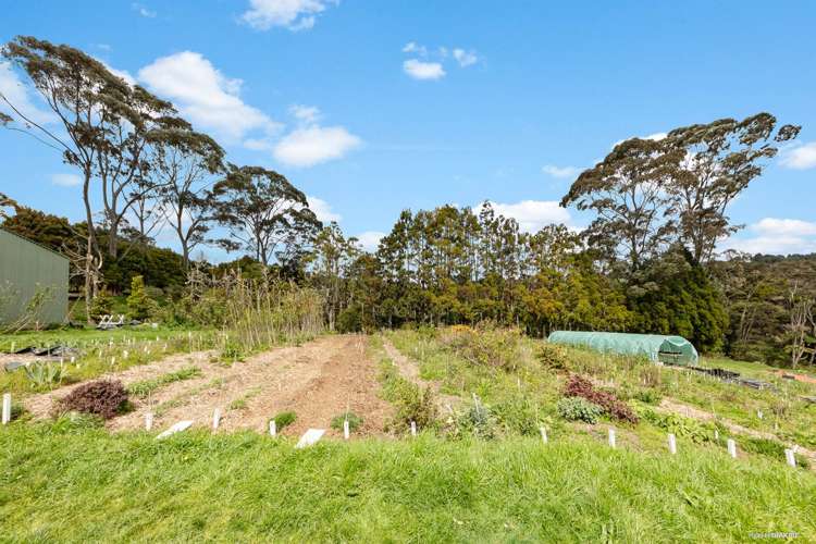 53 Arrowsmith Road Waitakere_6