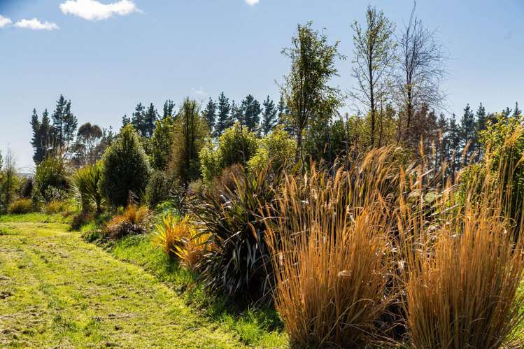 Lot 3/277 Woodside Road Greytown_8