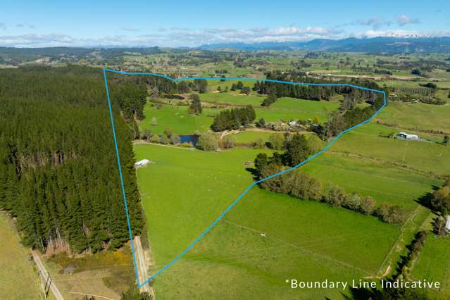 240 George Harvey Road Upper Moutere_4