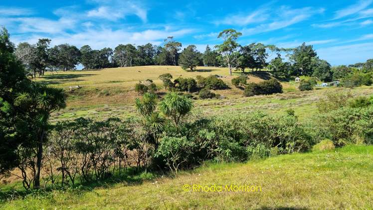 32 Sandy Beach Road Tinopai_4