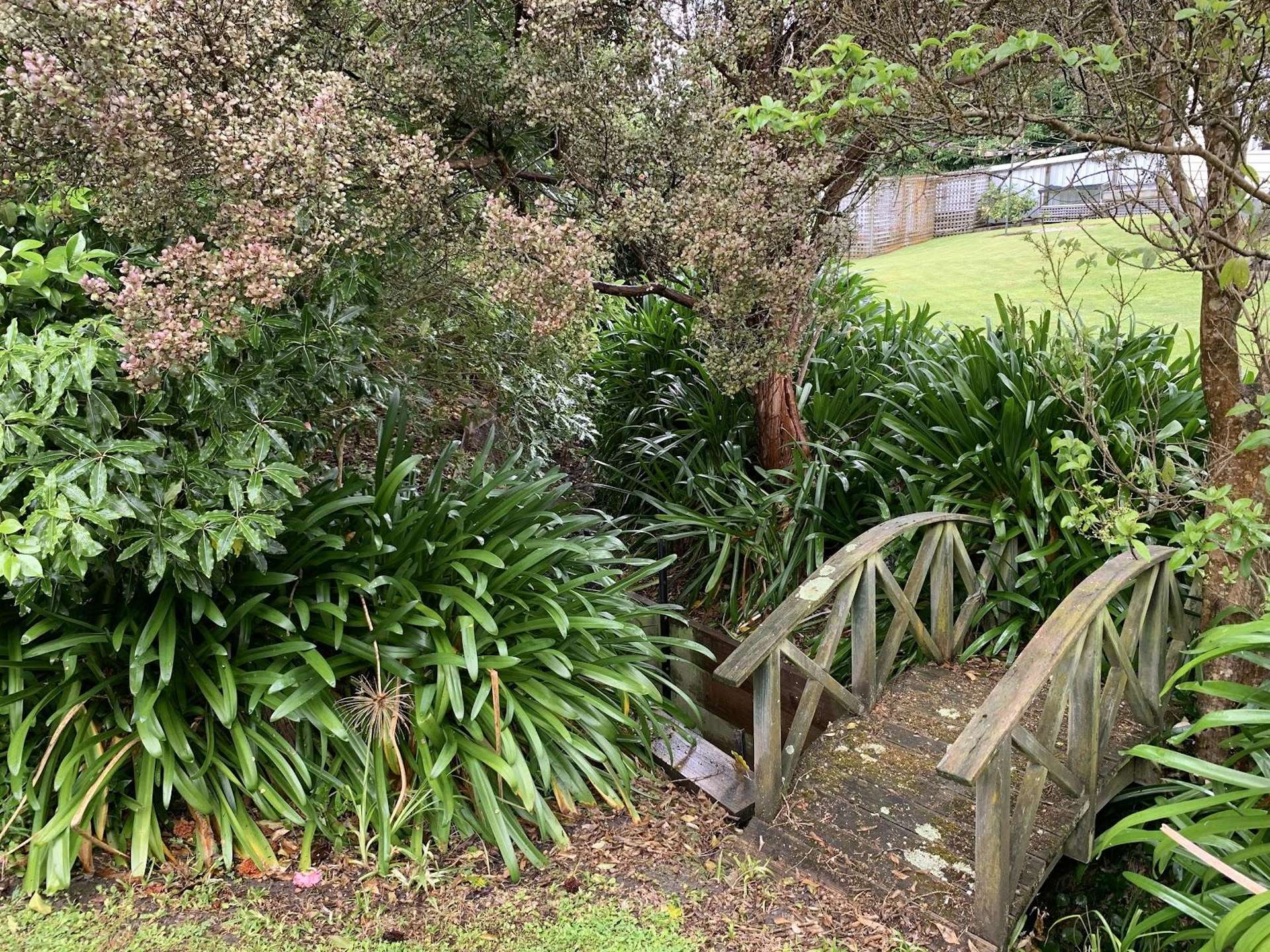 14 Manuka Street Masterton_0