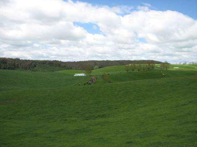 53 Worth Road Putaruru_1