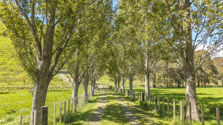 1663 Opaki Kaiparoro Road Masterton_19