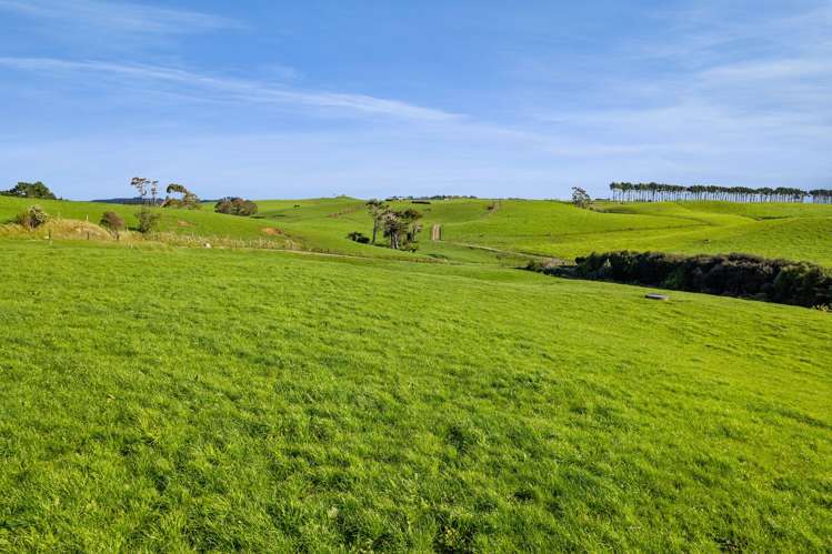 1028 Main North Road Onaero_17