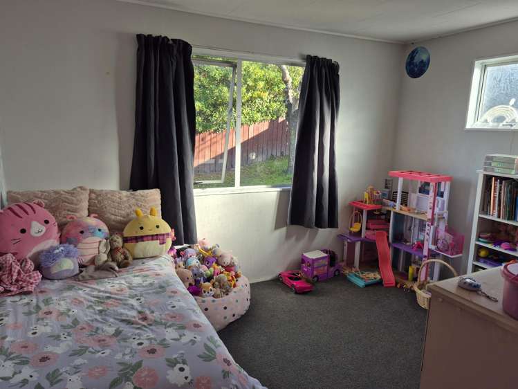 14b Tutanekai Street Waipukurau and Surrounds_12