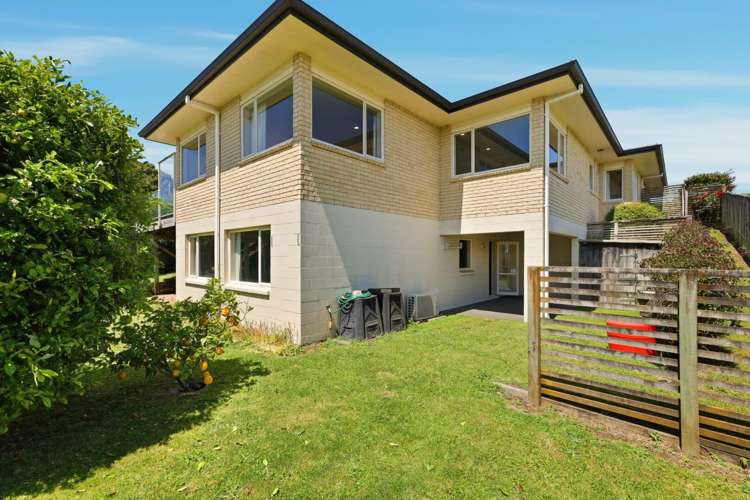 111 Sapphire Drive Hairini_19