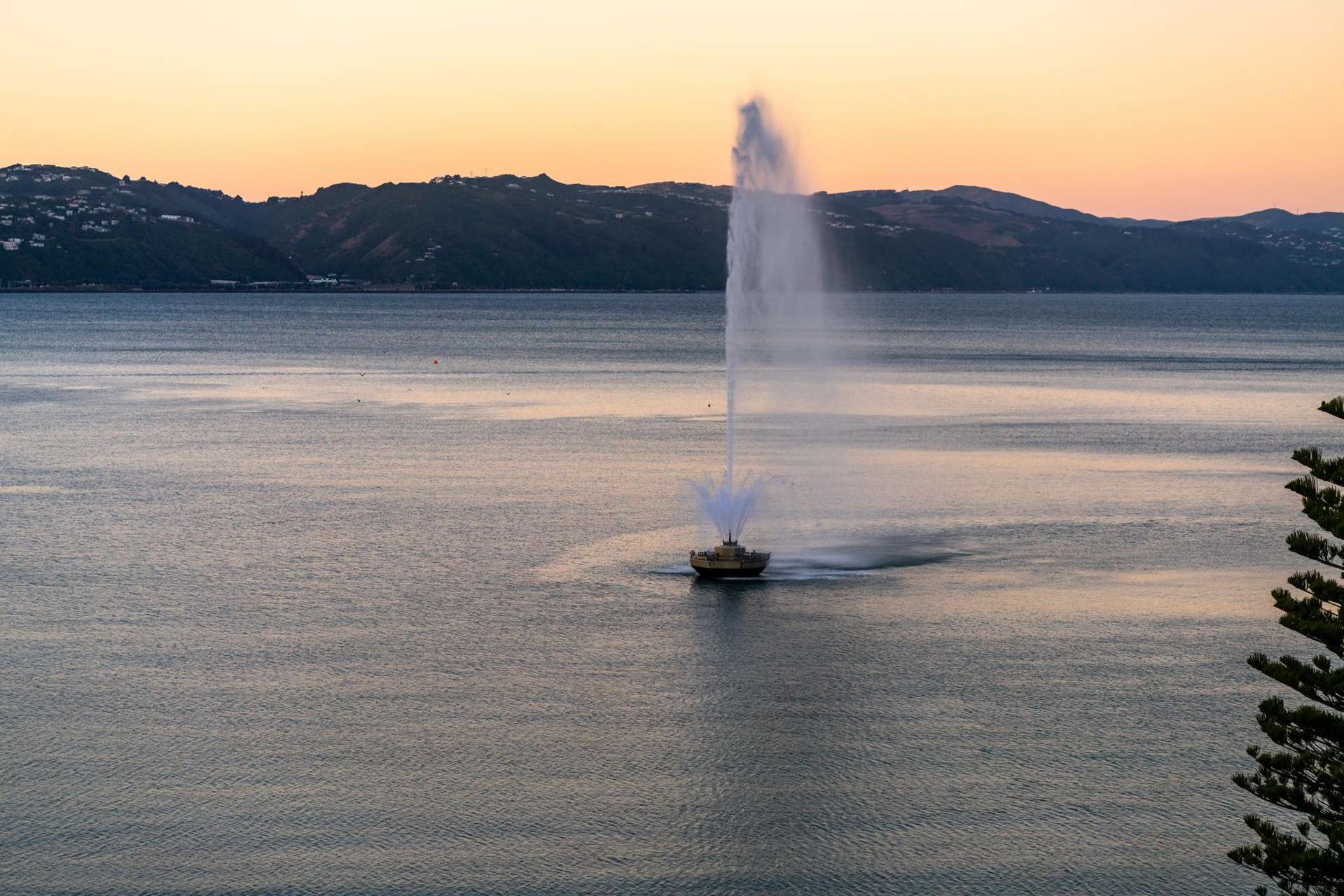 4/214 Oriental Parade Oriental Bay_0