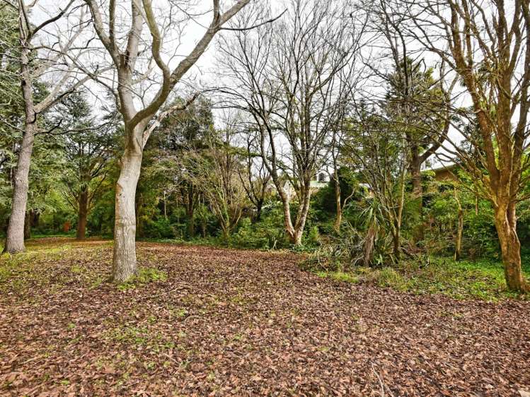 8 Robbs Road Whitecliffs_17