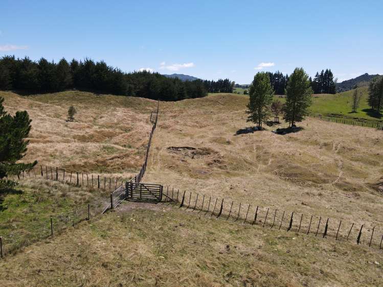 897 State Highway 1 Oruanui_12