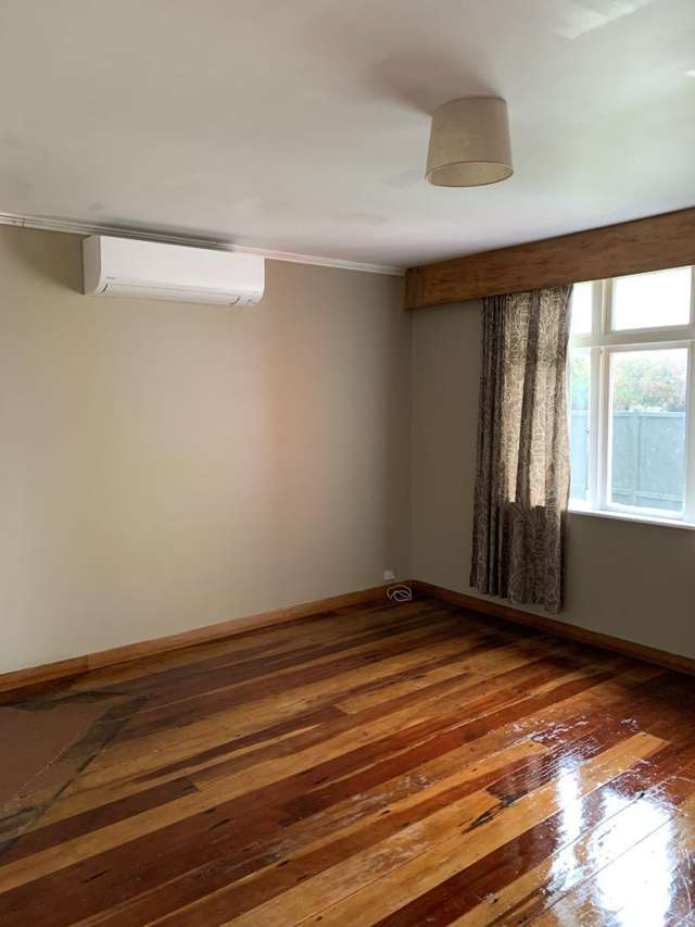 28 Hammond Street Bulls_2