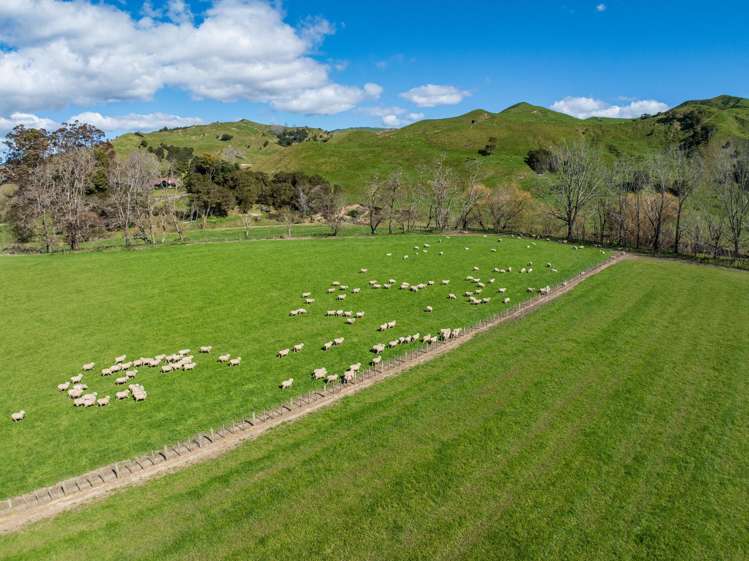 Lots 1 and 2 DP 428308 - Wharerata Road Muriwai_6