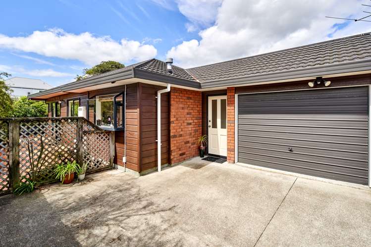 3/9 Atiawa Street Petone_15