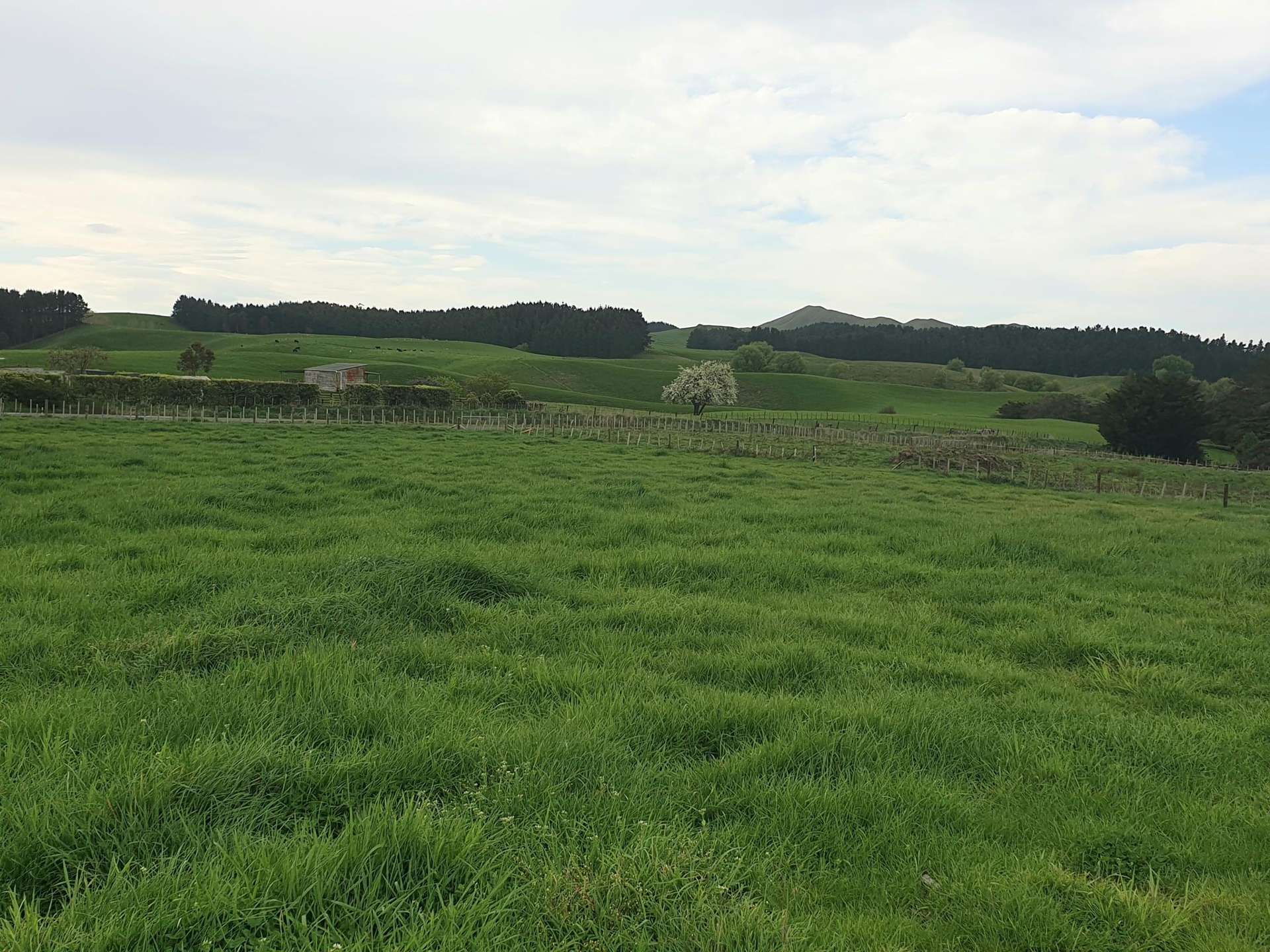 710a Pourerere Road Waipawa_0