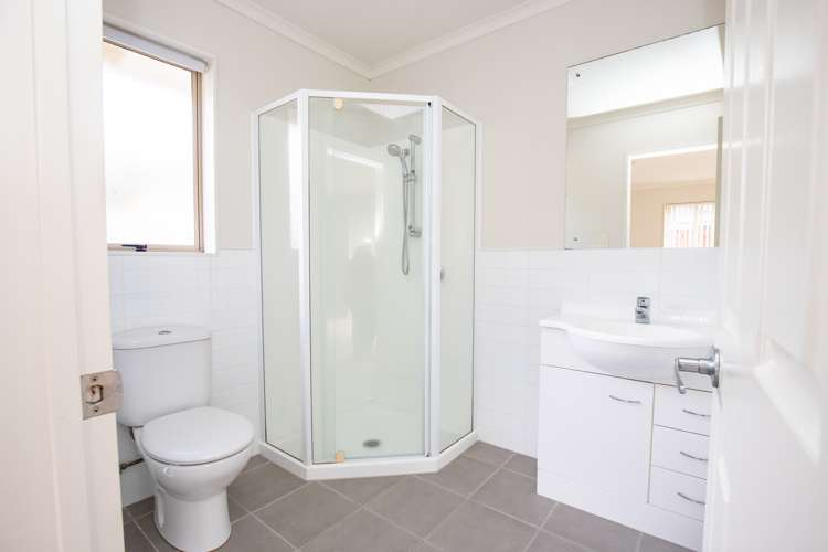 13a Madgwick Place Ngatea_8