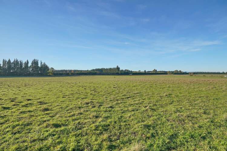 185 McIntoshs Road Fernside_14