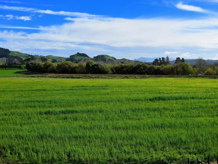 2118 Matawai Road Te Karaka_6